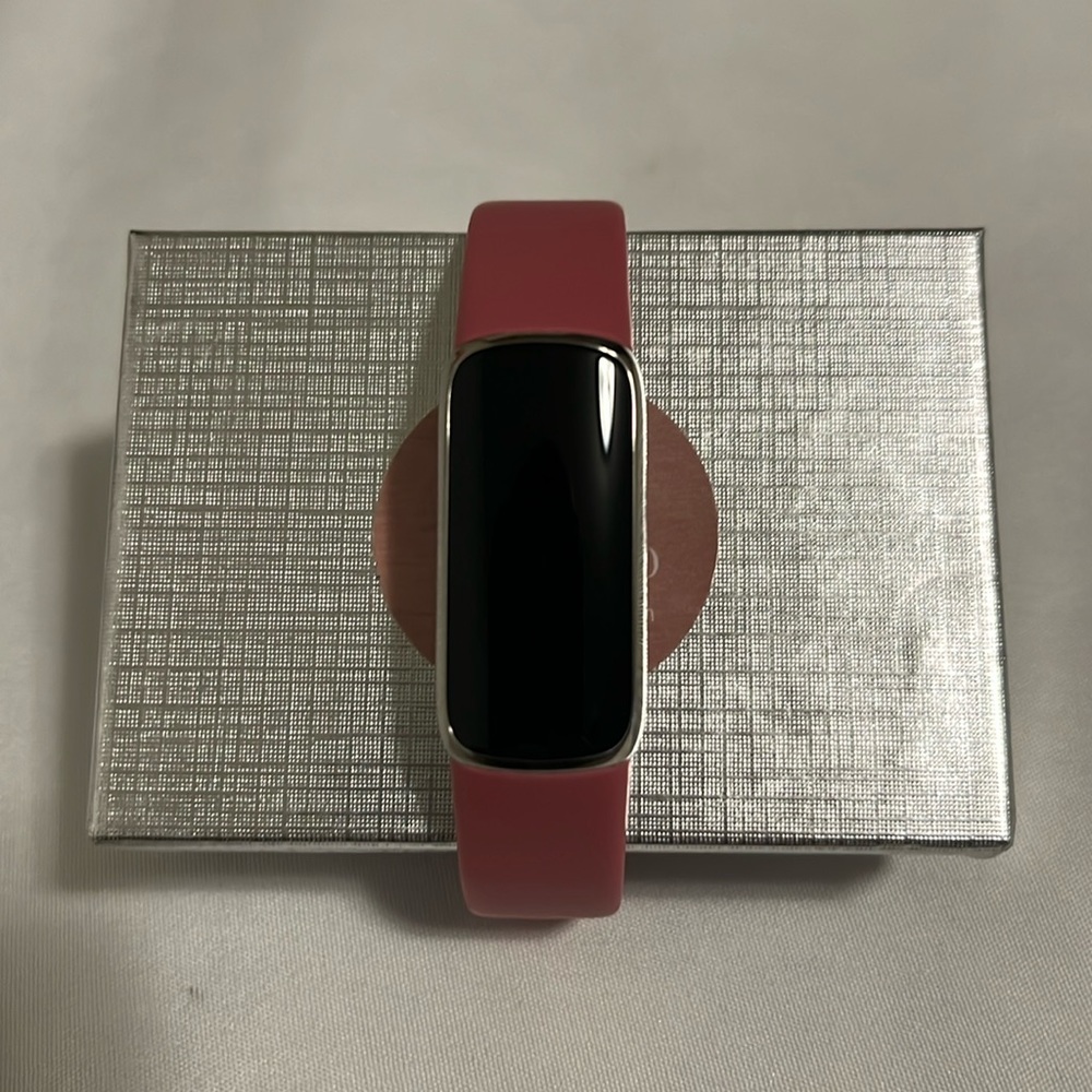 Silver Fitbit Luxe